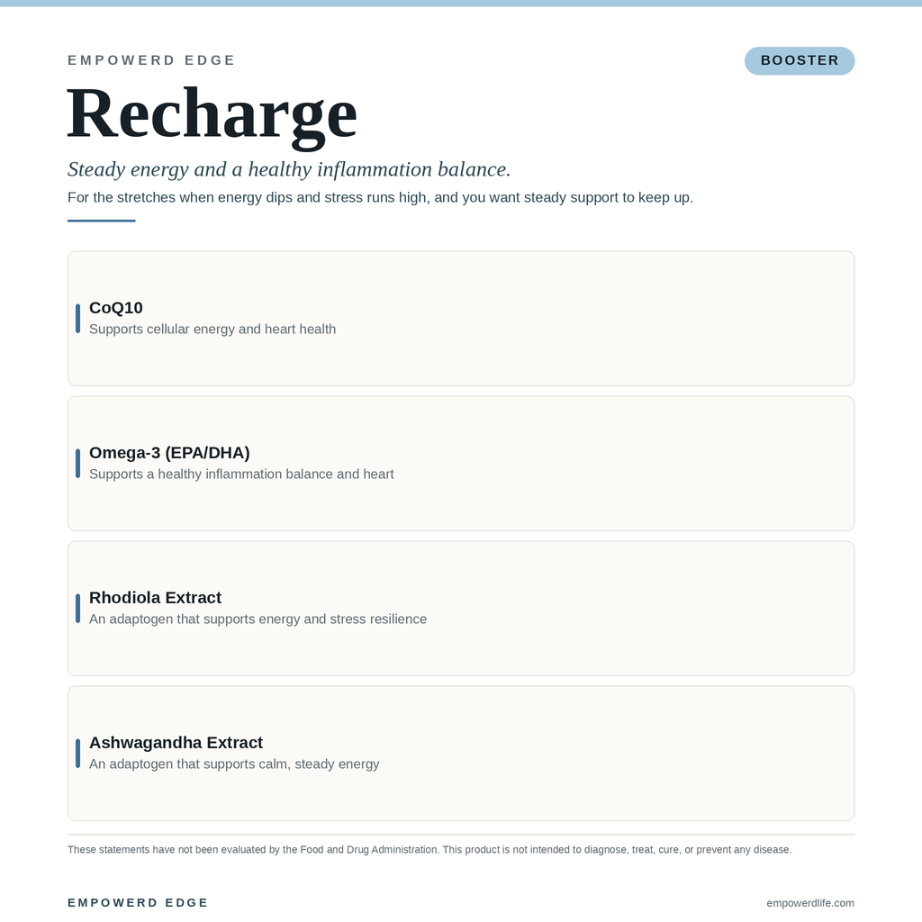 RECHARGE ingredient breakdown — what each ingredient supports