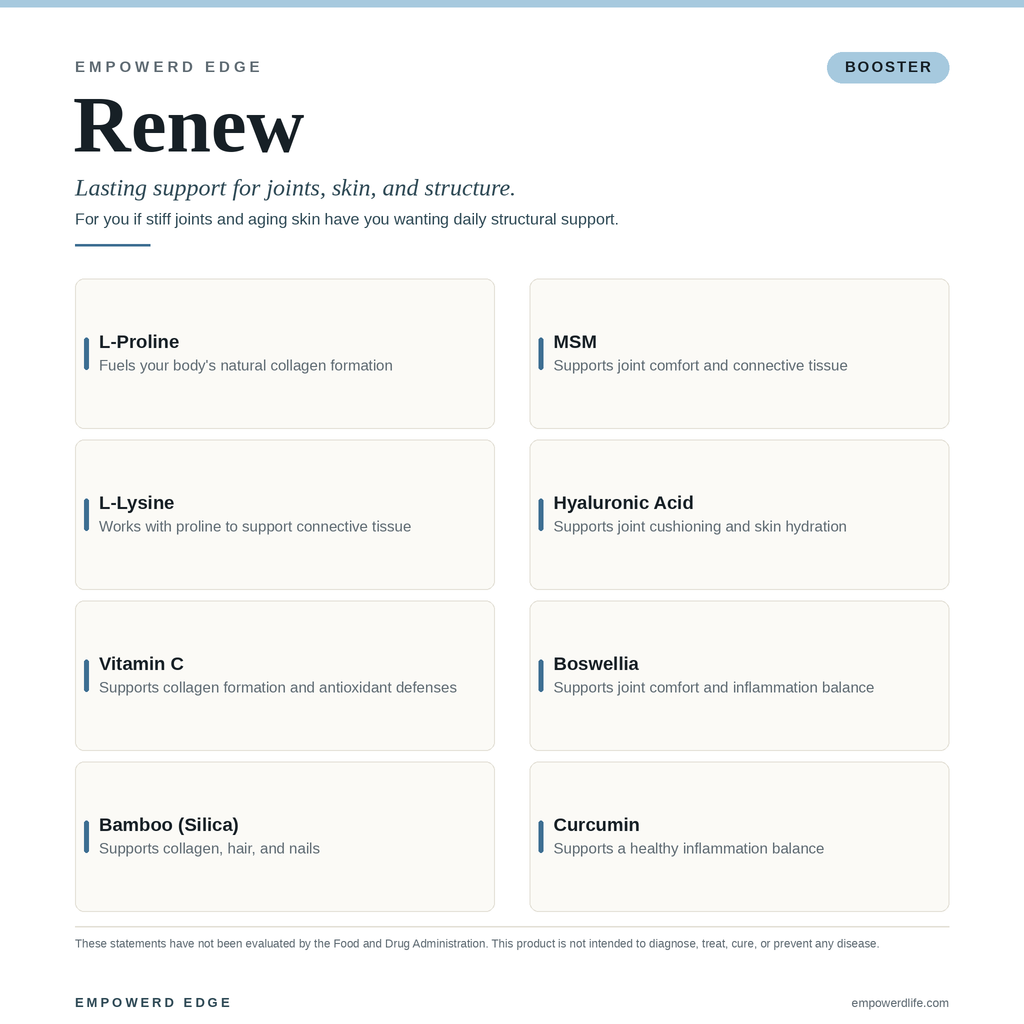 RENEW ingredient breakdown — what each ingredient supports